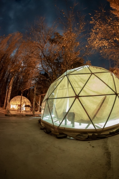 WhatsApp Image 2023-10-31 at 08.34.05.jpeg